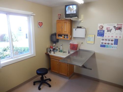 Veterinary-examination-room-one-at-Riverside-Hospital-02-1024x768